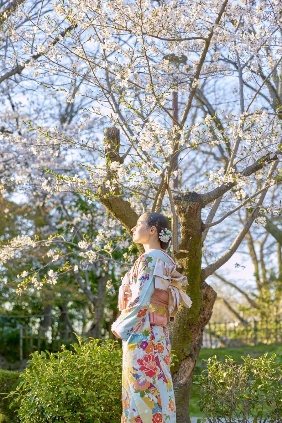 桜の下で佇む和装の花嫁